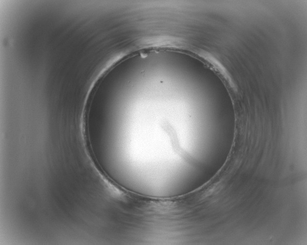 X0000068891285200605192125