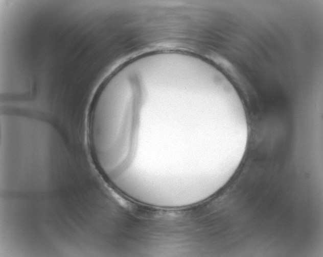 X0000068891286200605192125