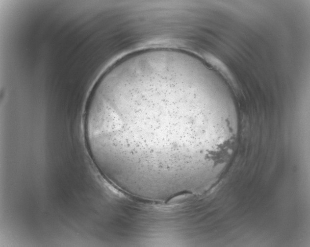 X0000068891288200605192125