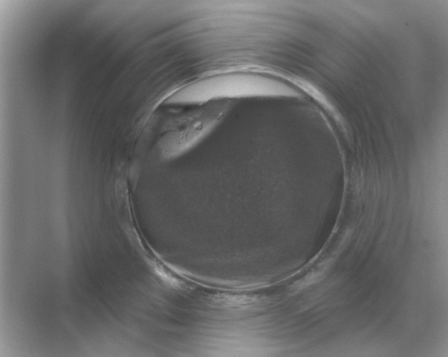 X0000068891289200605192125