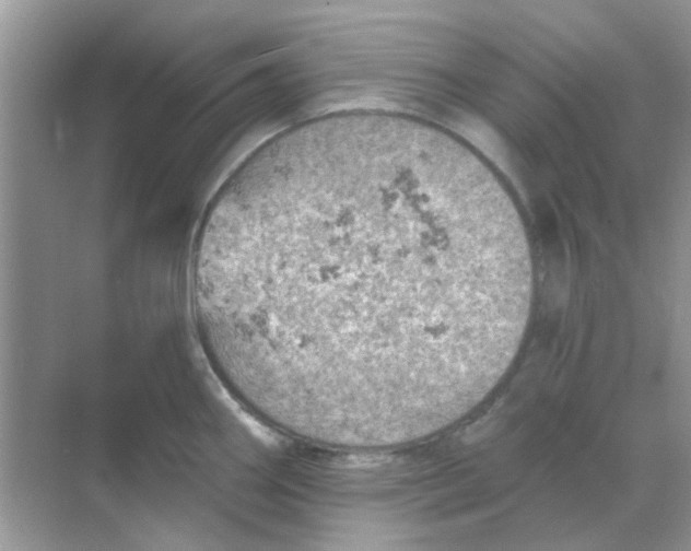 X0000068891290200605192125