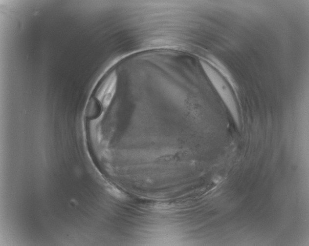 X0000068891291200605192125