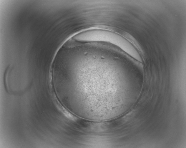 X0000068891292200605192125