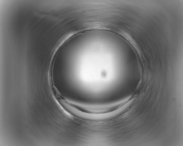 X0000068891293200605192125