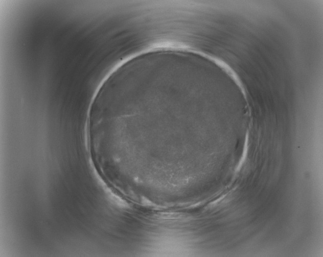 X0000068891295200605192125