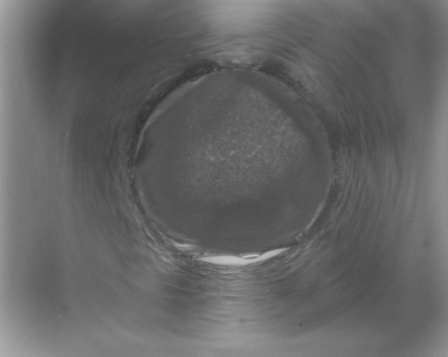 X0000068891297200605192124