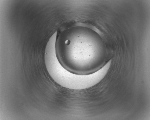 X0000068891298200605192124