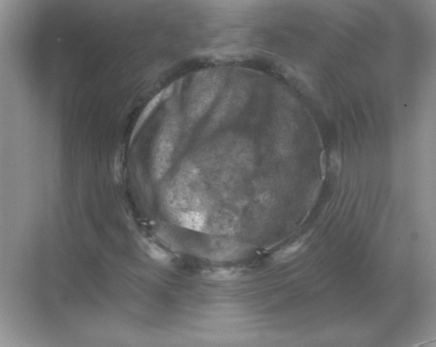 X0000068891300200605192124