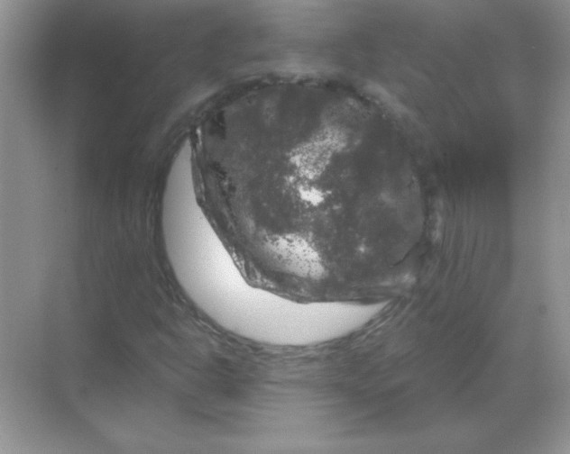 X0000068891302200605192124