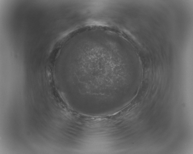 X0000068891303200605192124