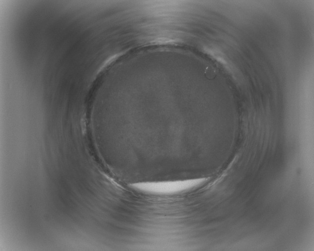 X0000068891306200605192124