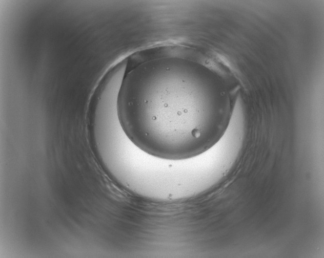 X0000068891308200605192124