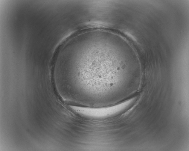 X0000068891309200605192124