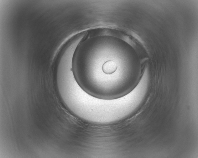 X0000068891310200605192124