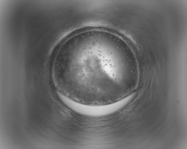 X0000068891311200605192124