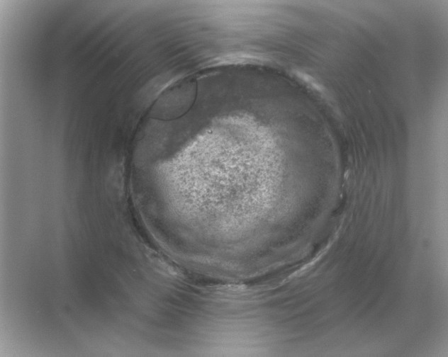 X0000068891313200605192125