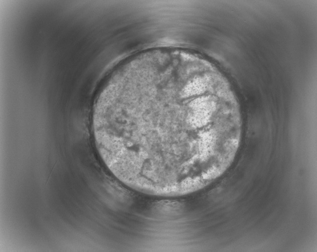 X0000068891314200605192125