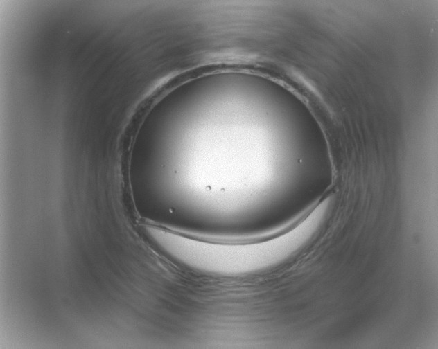 X0000068891315200605192125