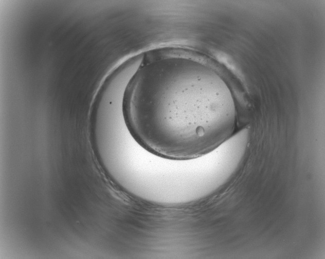 X0000068891316200605192125