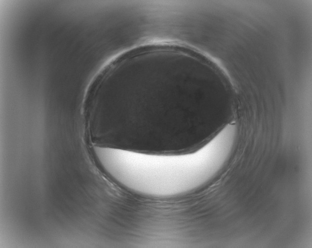 X0000068891319200605192125