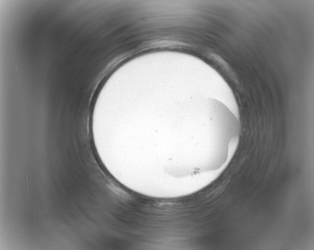 X0000068891322200605192125