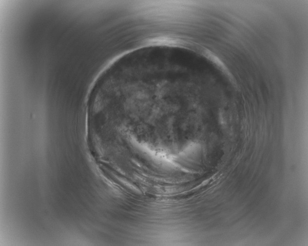 X0000068891323200605192125