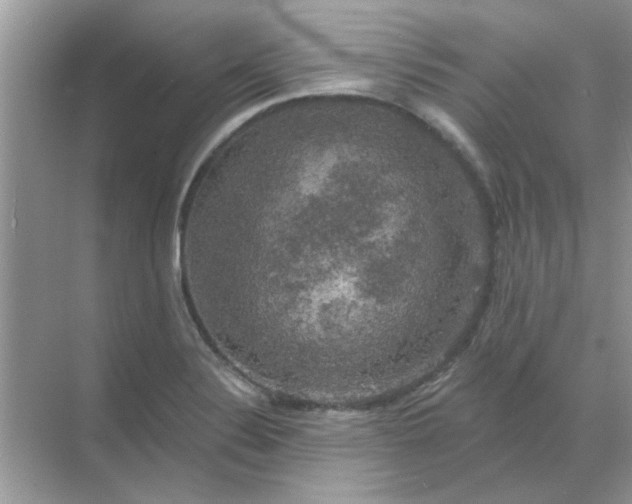 X0000068891324200605192125