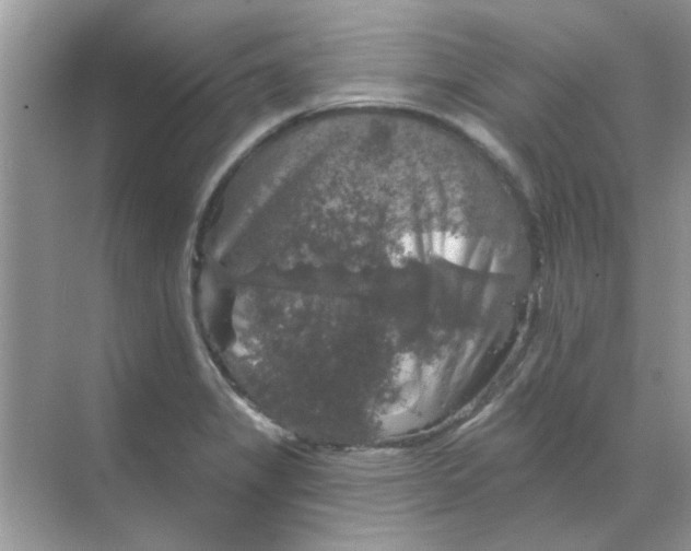 X0000068891325200605192125