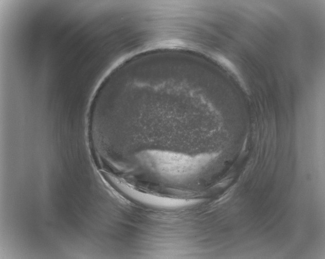 X0000068891326200605192125