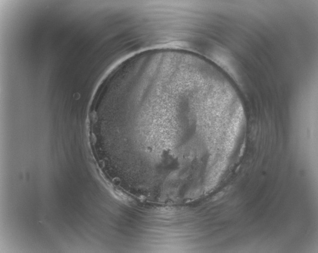 X0000068891332200605192125