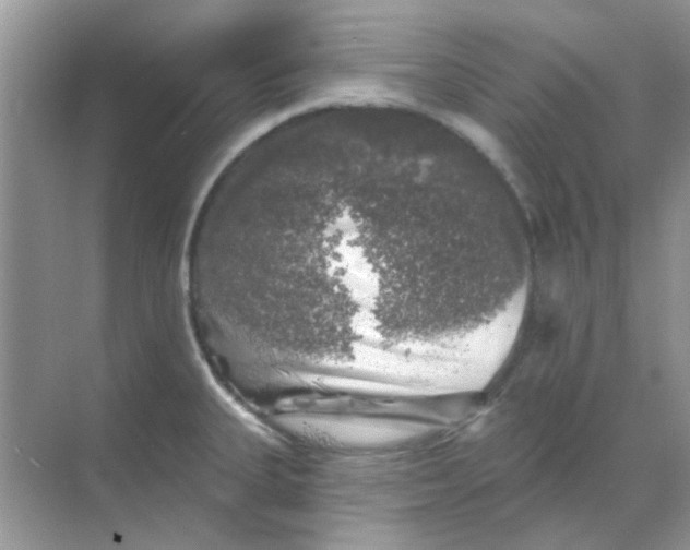 X0000068891335200605192125