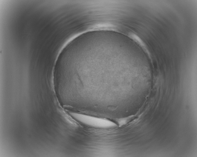 X0000068891336200605192125