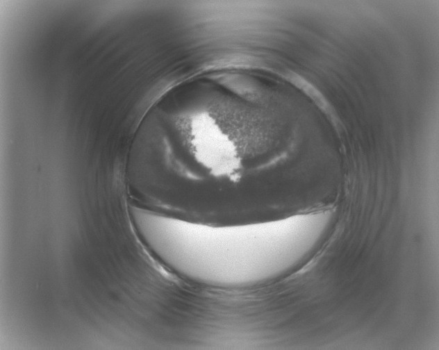 X0000068891337200605192125