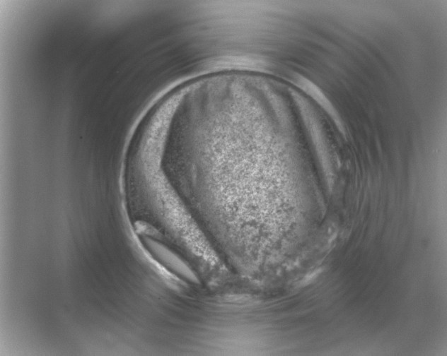 X0000068891339200605192125