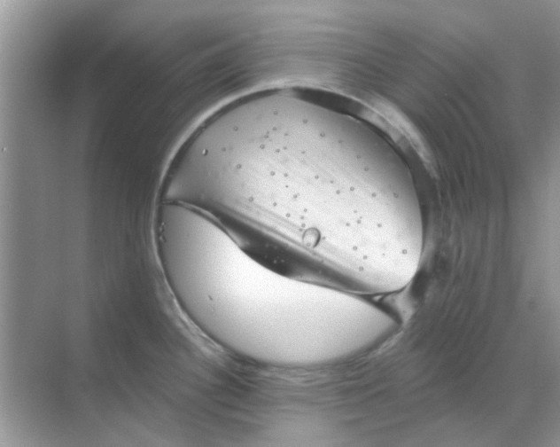 X0000068891340200605192125