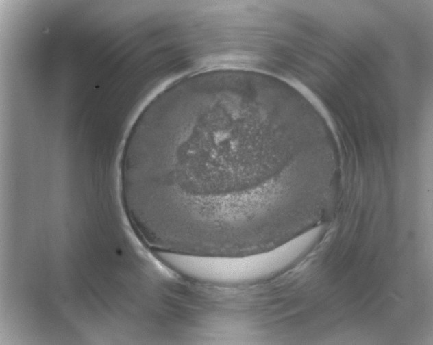 X0000068891341200605192125