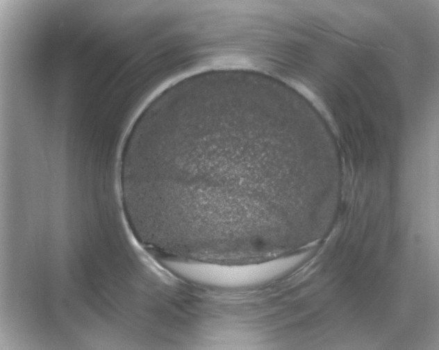 X0000068891342200605192125