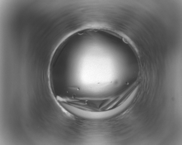 X0000068891343200605192125