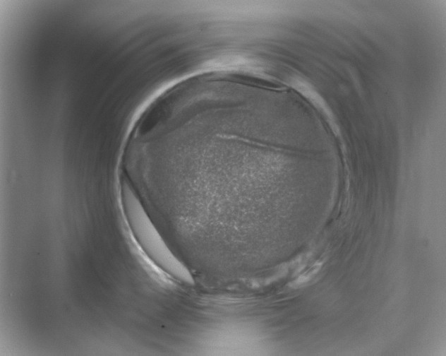 X0000068891344200605192125