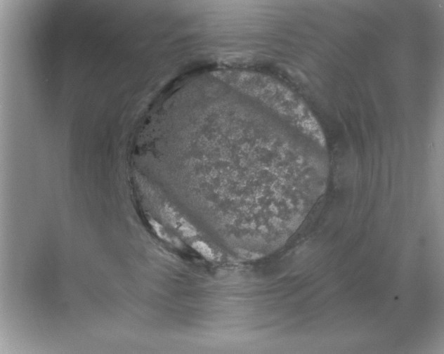 X0000068891345200605192124