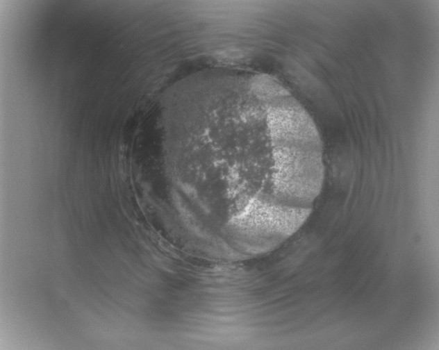 X0000068891346200605192124