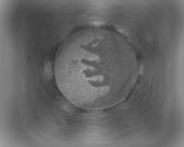 X0000068891347200605192124