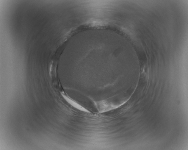 X0000068891348200605192124