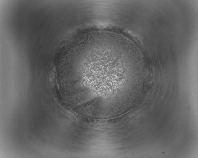 X0000068891349200605192124