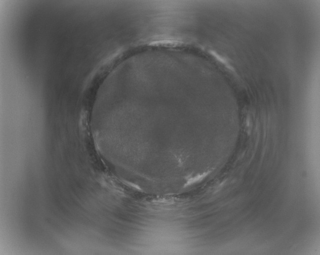 X0000068891351200605192124