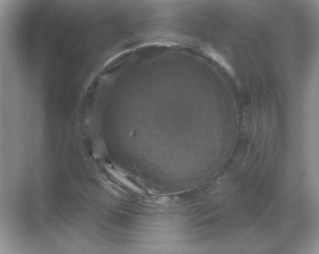 X0000068891352200605192124