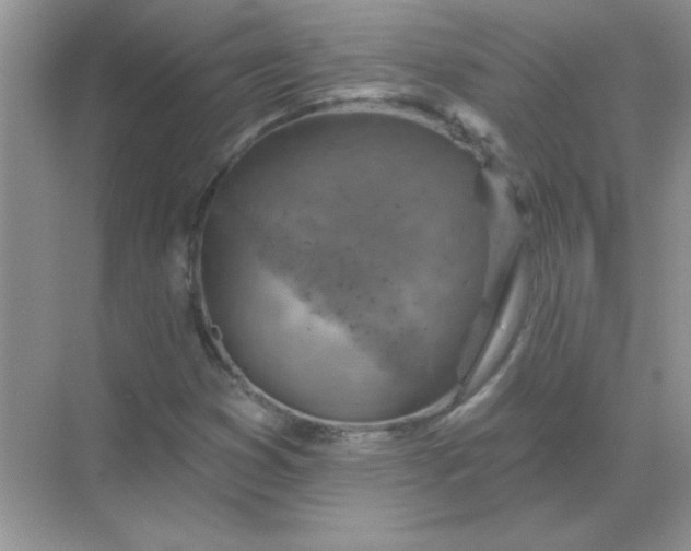 X0000068891353200605192124