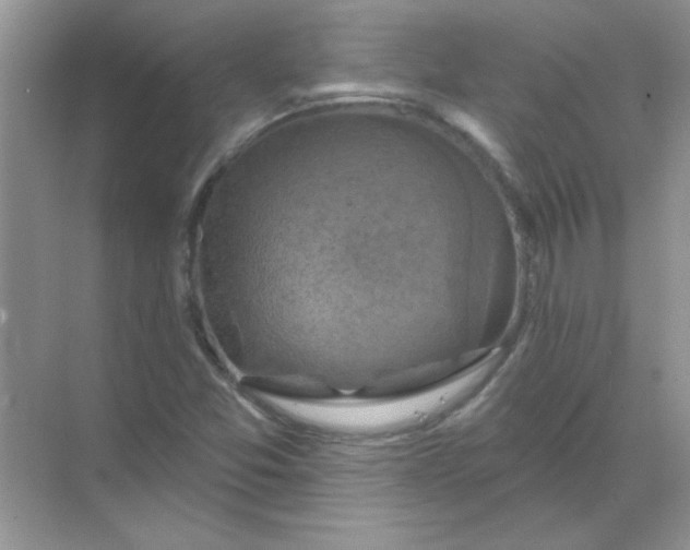 X0000068891357200605192124