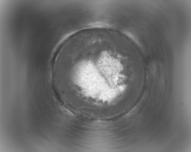 X0000068891358200605192124