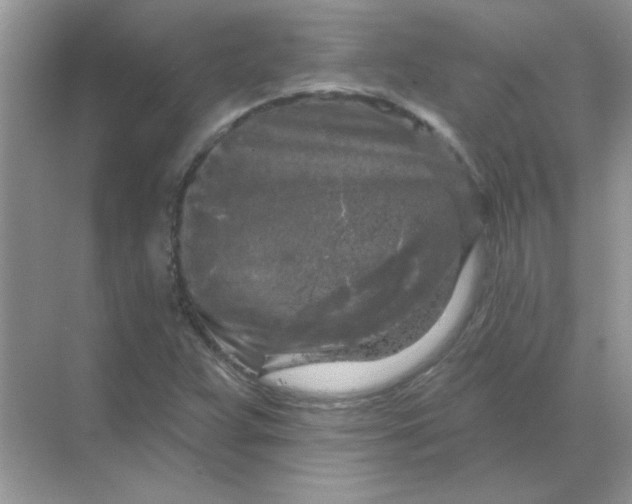 X0000068891359200605192124